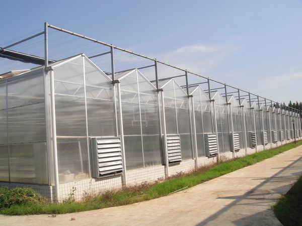 ​ 西安连栋温室大棚在农业应用越来越广泛