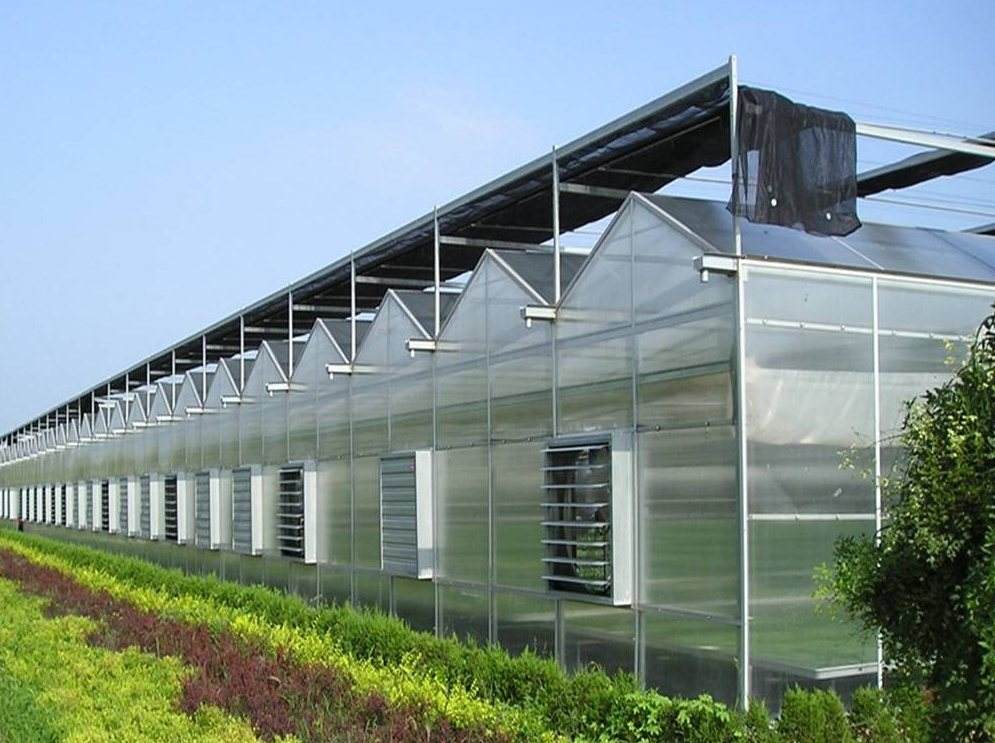 西安蔬菜温室大棚建设中常见问题讲解