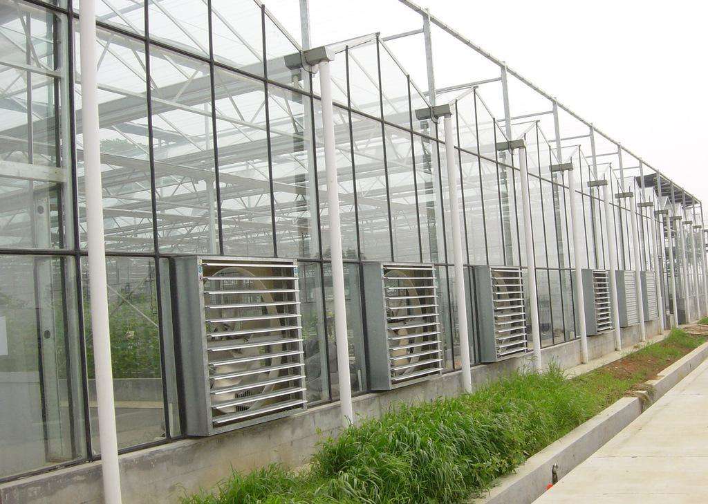 夏季高温新型玻璃温室大棚管理注意事项