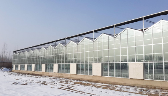 玻璃温室大棚适宜种植各种果蔬