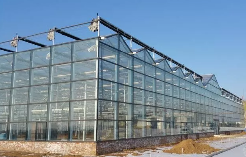 西安玻璃温室大棚建设的技术要点与难点