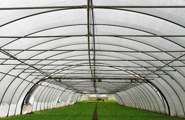 陕西温室大棚在应用于智慧农业会体现哪些优势