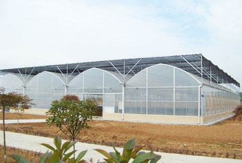 陕西新型温室大棚在建造使用都有哪些优势体现