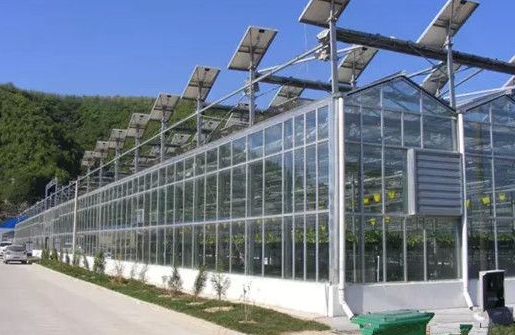 夏季玻璃温室大棚降温采用“内外结合”方法