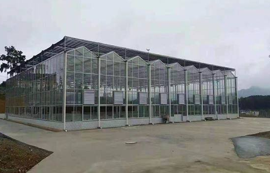 西安玻璃温室大棚建设