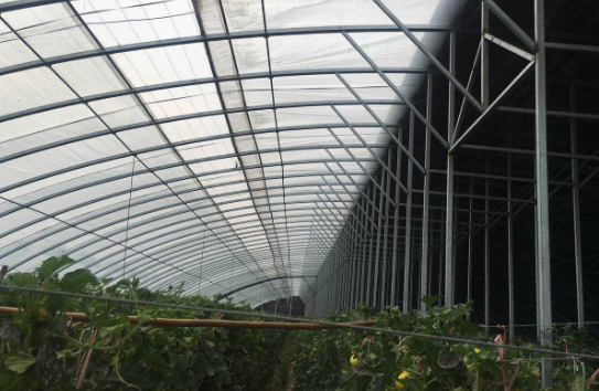新型玻璃温室建造上都怎样提高保温性能！