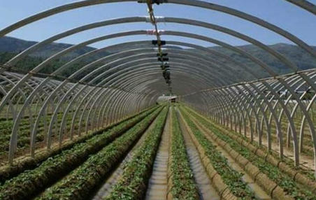 蔬菜温室大棚如何正确的建设