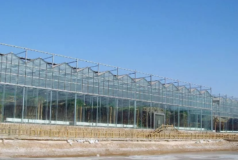蔬菜温室大棚建设都有哪些施工步骤！
