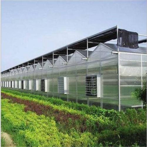 陕西温室大棚除湿的方案有哪些？