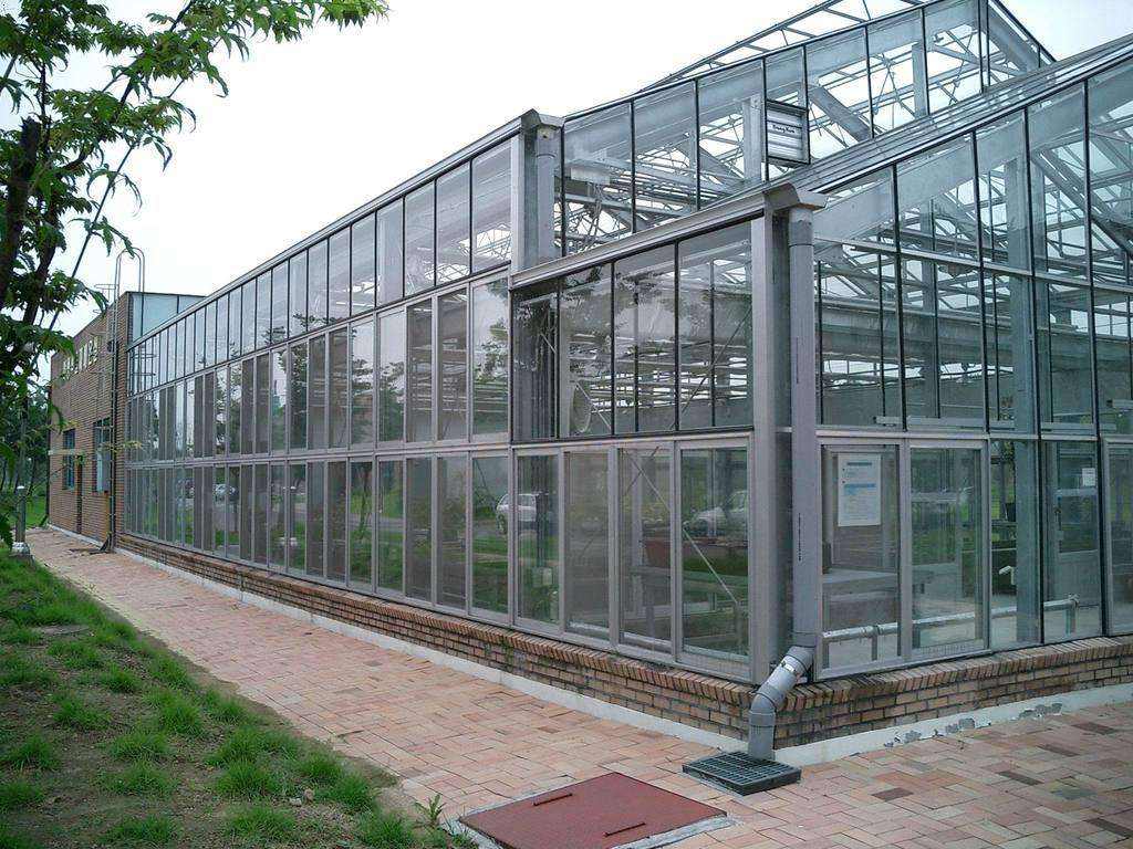 建造玻璃温室大棚的好处
