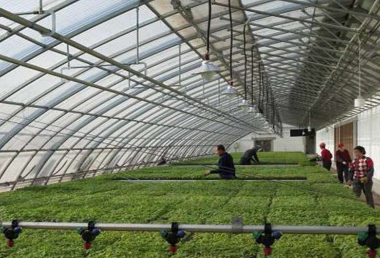 在雨季蔬菜温室大棚如何防护