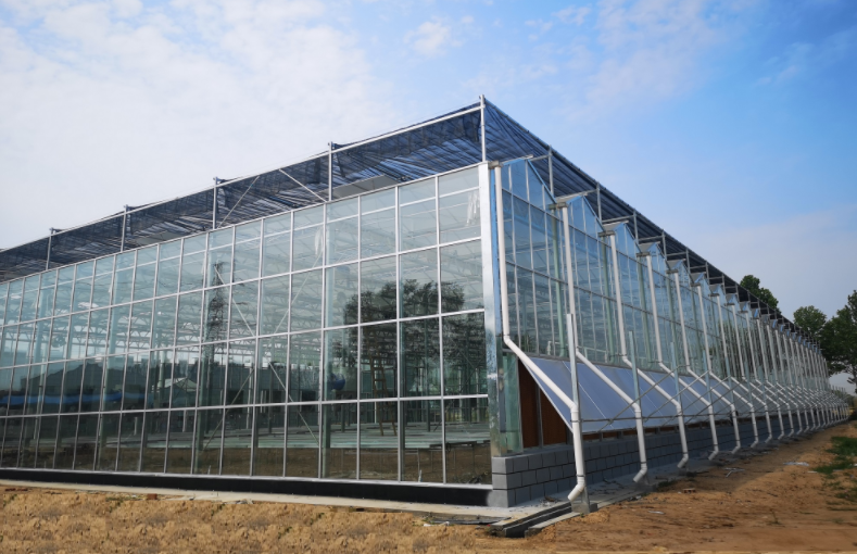新建的陕西温室大棚要注重土壤改良