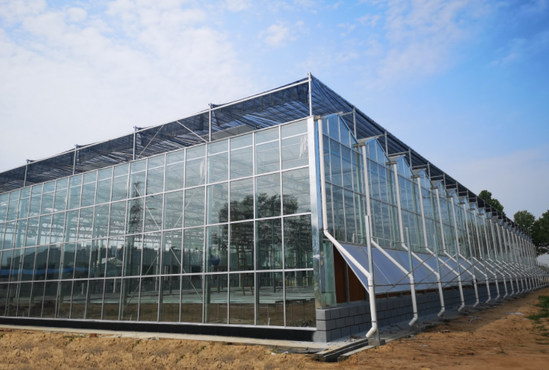 玻璃温室大棚能够使用多长时间？