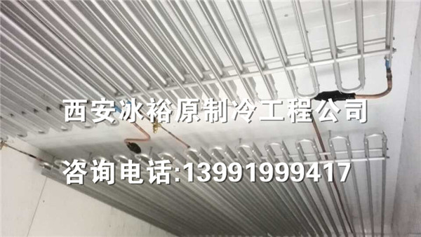 西安灞桥负18度铝排冷冻库安装案例