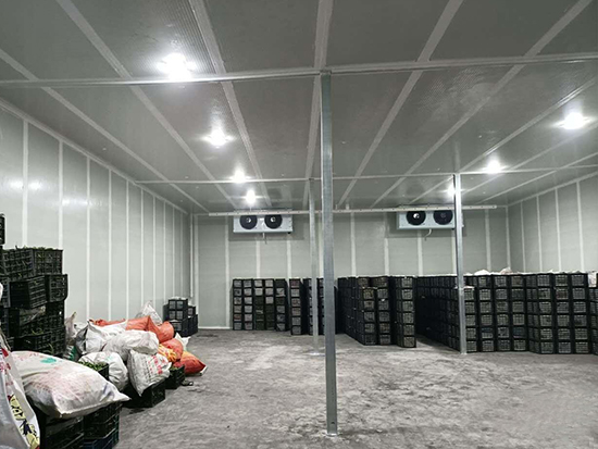 建造100平方米果蔬保鮮冷庫需要多少錢？