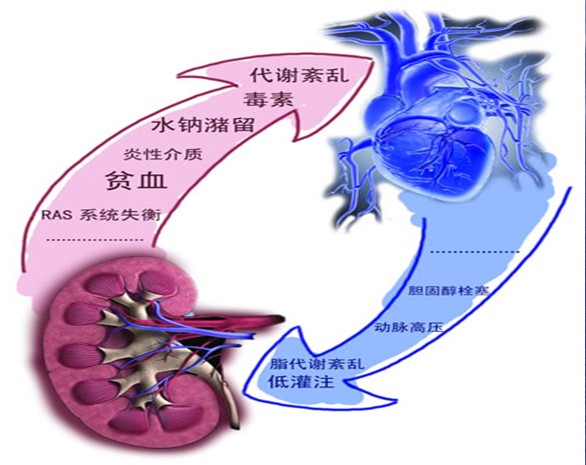 减肥加盟告诉你不吃不喝  那不叫减肥