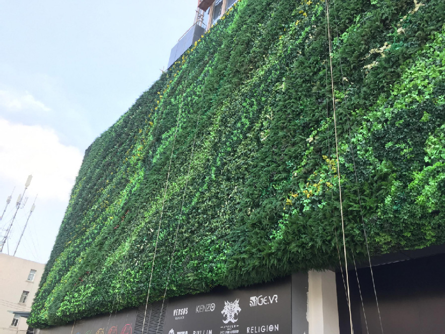北京垂直绿化