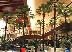 仿真棕榈树多应用于酒店、商 场、宾馆等