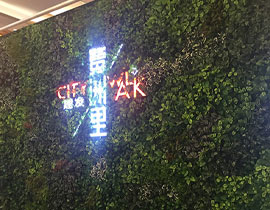 北京绿植墙：三个知识点为您讲解绿植墙