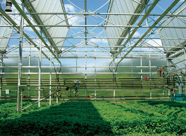 分析暴雨季节温室大棚需要应对的方法有哪些—山东玻璃温室大棚生产厂家
