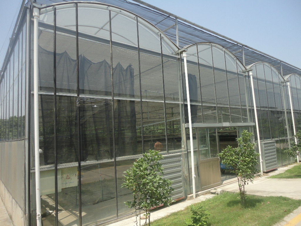 玻璃温室大棚的概念和基本用途