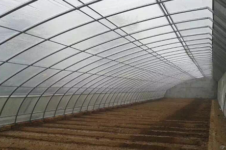 博瀚农业分享解决甘肃温室大棚雾气的技巧
