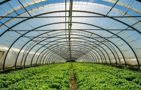 博瀚农业分享连栋薄膜温室大棚的方法