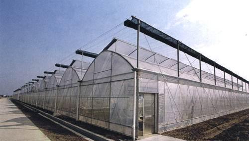 科学的对蔬菜温室大棚构造布局的中重要性