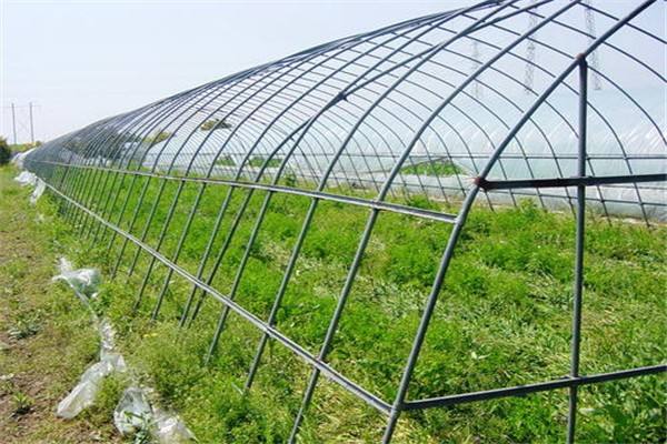 甘肃新型温室大棚建设对水果种植的意义