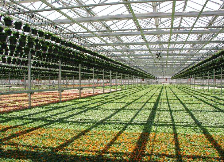 改善甘肃蔬菜温室大棚照明功能的办法