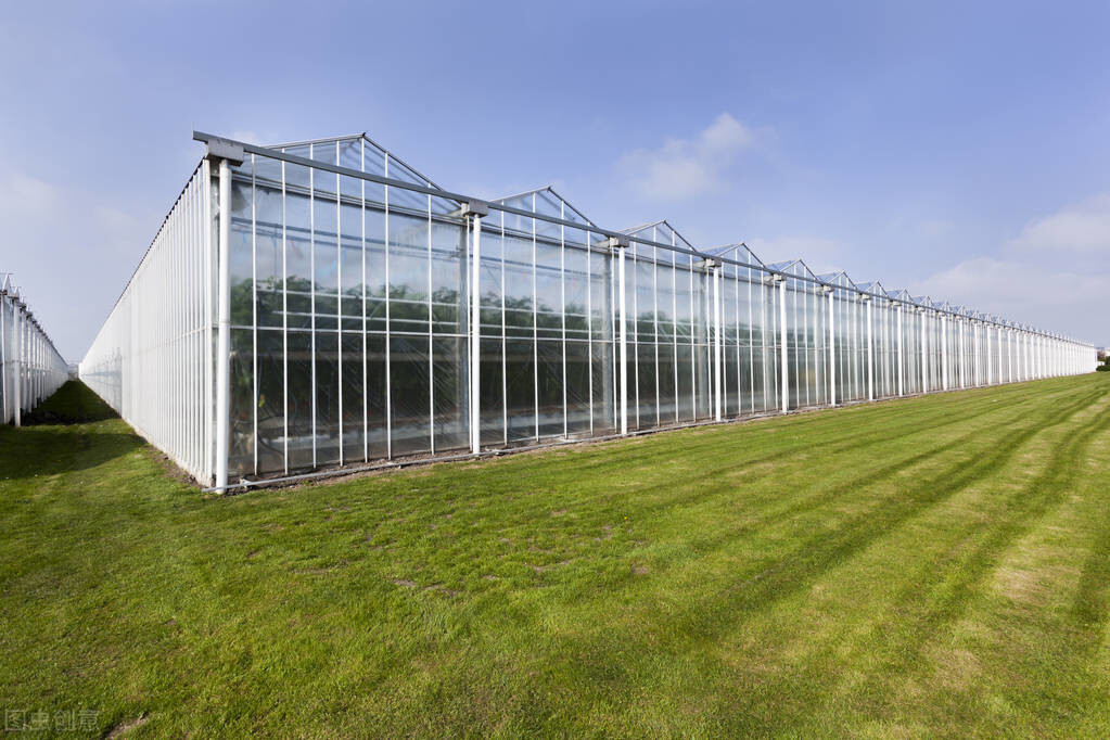 甘肃温室大棚的灌溉系统如何维护保养