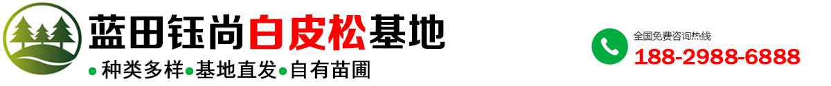 陕西钰尚苗木种植基地