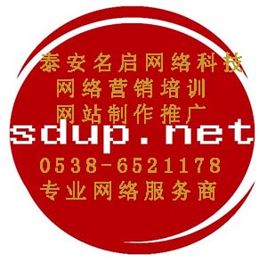 泰安市名启网络传媒网络推广软件开发专业技术团队价格更低高效优质服务