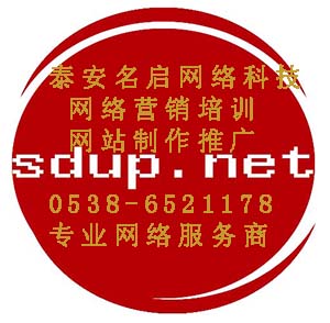 泰安名启网络泰安网站制作公司全网网络营销培训