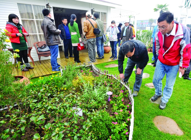 蘇州采香涇生態(tài)園花卉已完美綻放