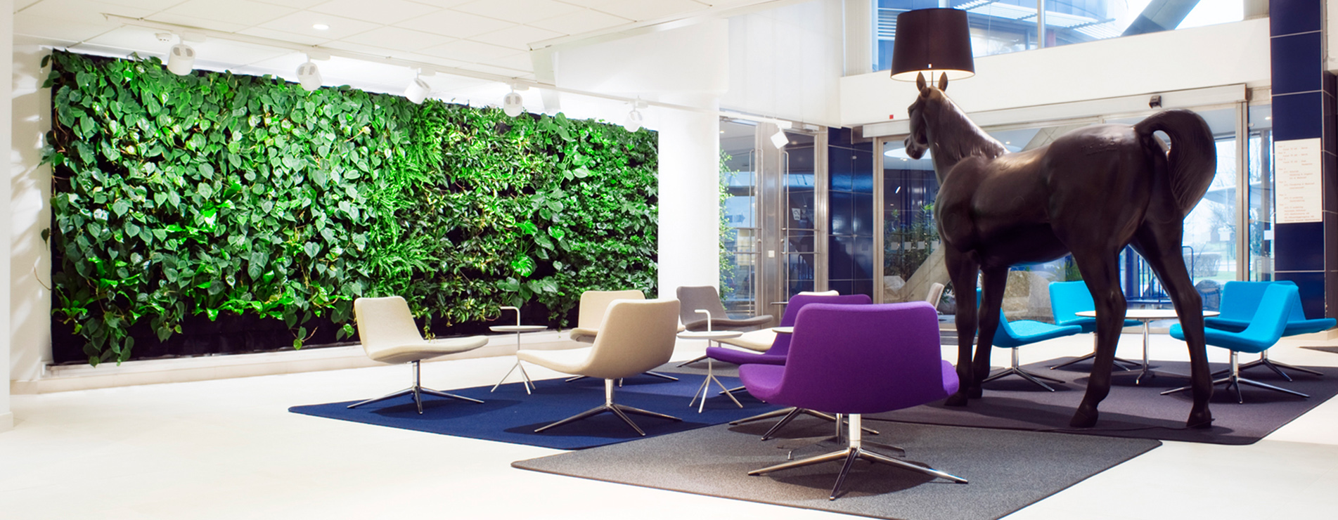 办公室植物墙设计的三要素，过来涨知识