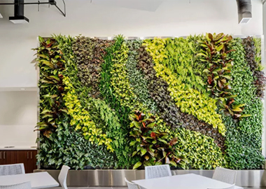 成都立体绿化墙怎样才能更漂亮？