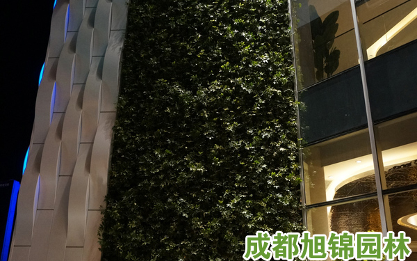 植物墙,垂直绿化,成都植物墙,成都垂直绿化