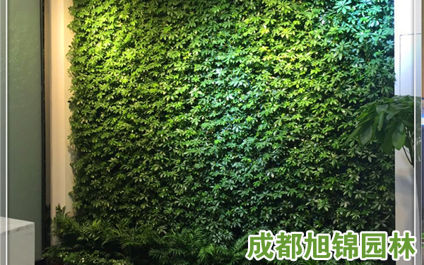 绵阳植物墙,绵阳屋顶绿化,绵阳立体绿化,绵阳垂直绿化,绵阳仿真植物墙,绵阳绿化养护