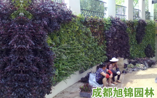 重庆中渝山顶道壹号室外植物墙