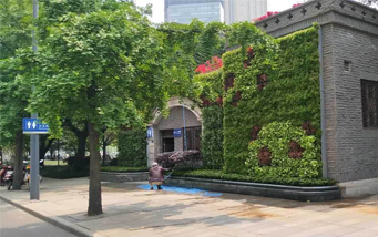 成都植物墙