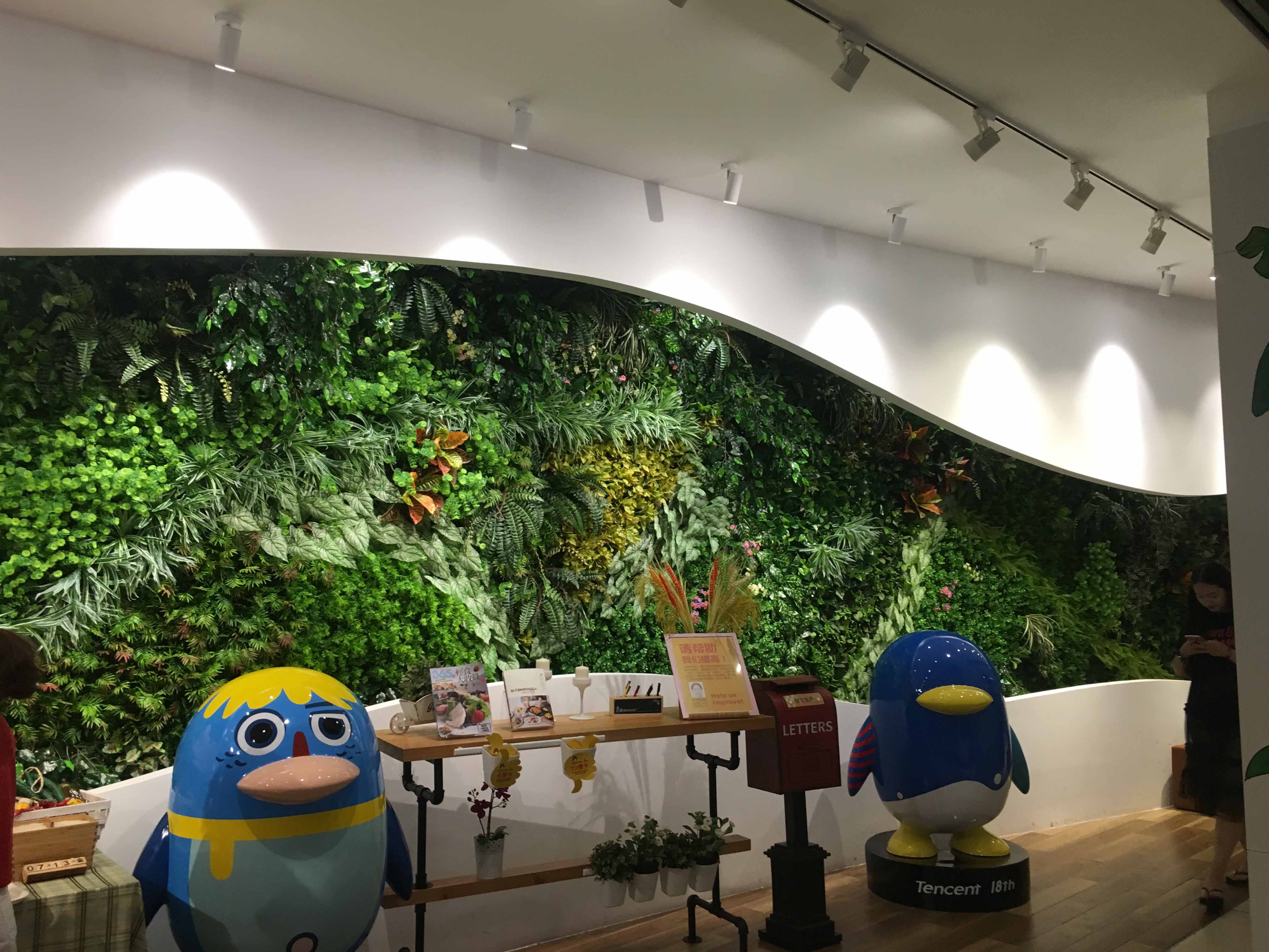 四川植物墙公司
