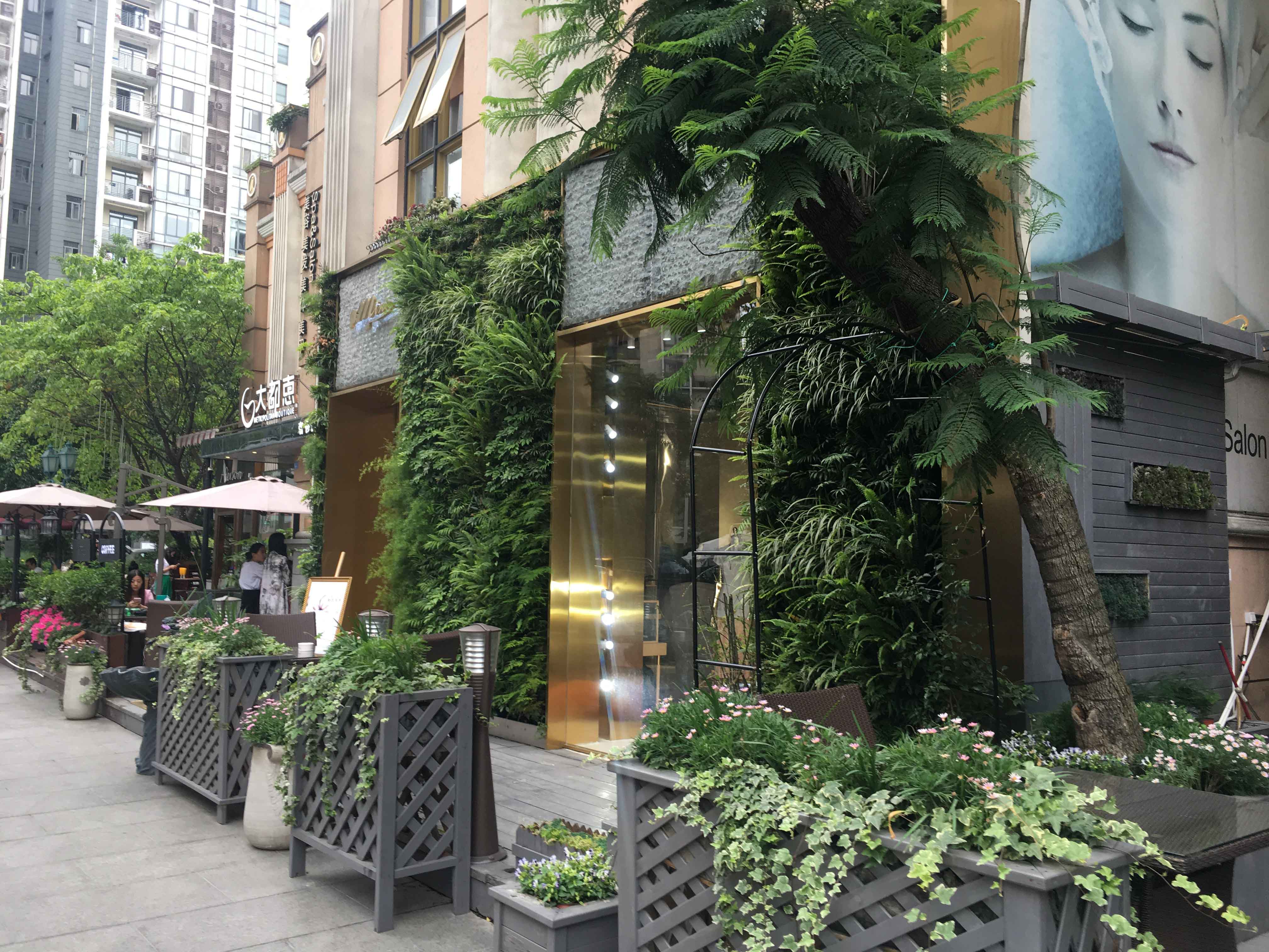 植物墙