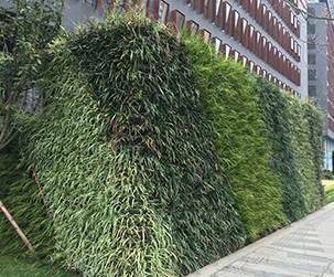 室内植物墙设计制作主要考虑三点因素