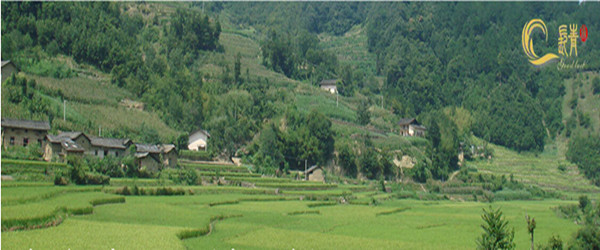旬阳县石门贡米是陕西有名的水稻之乡