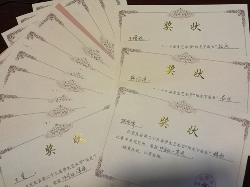获得绘画,摄影,书法奖项的还有14个孩子.