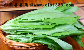 蔬菜之王——油麦菜