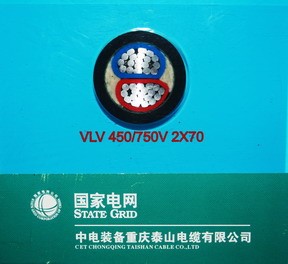 1KV聚錄乙烯絕緣電力電纜（VV）2