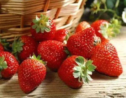 重庆草莓采摘基地