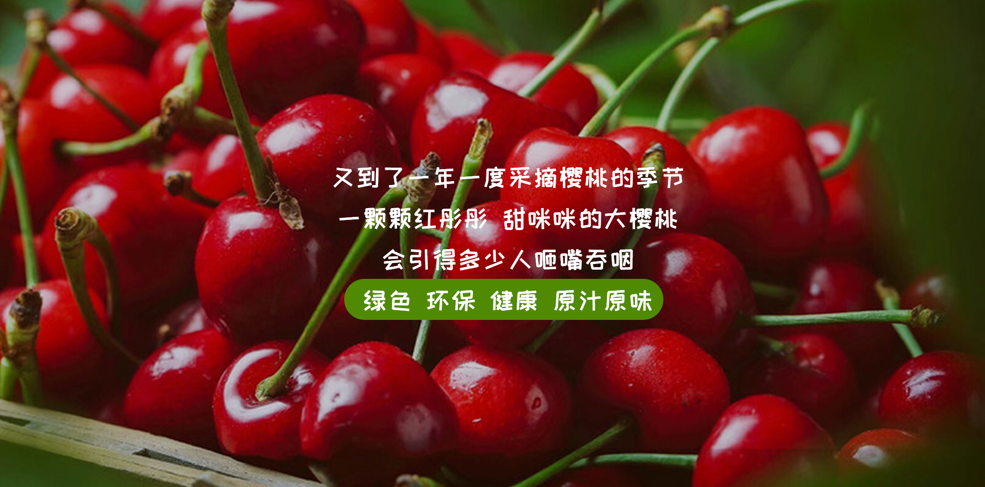 重庆草莓采摘
